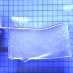 What are hydrogels?